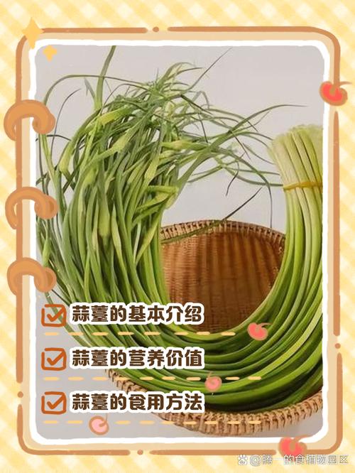 梦见妈妈送蒜薹有什么特殊含义或预兆？