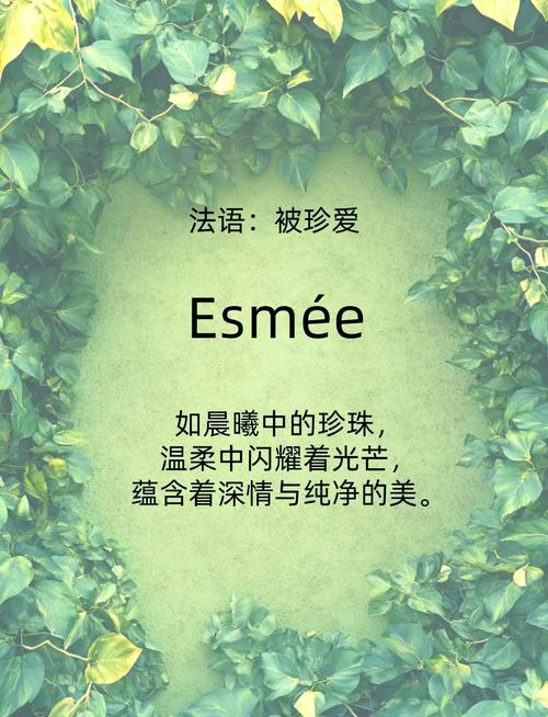 哪个法语词汇最能代表小众浪漫，被誉为最浪漫的法语词汇？