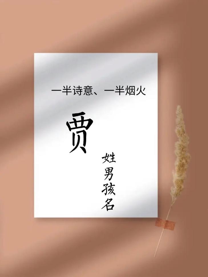 贾姓男孩取什么名字既好听又寓意美好？
