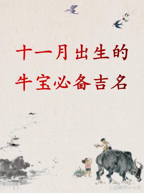 11月牛宝宝的运势分析结果如何？