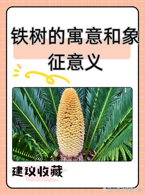 有哪些树木名字富有寓意？