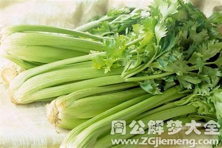 梦见芹菜成堆是什么寓意？