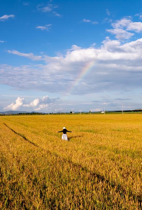 女人梦见麦田或麦地预示着什么吉凶？