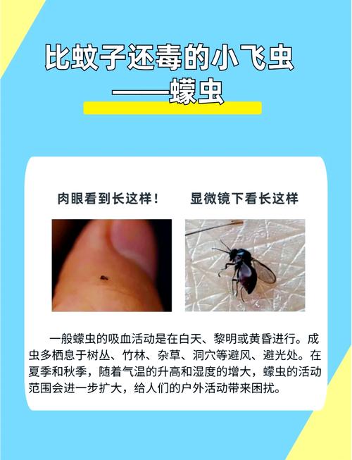 梦见大量昆虫咬自己是什么寓意或有什么特殊含义？