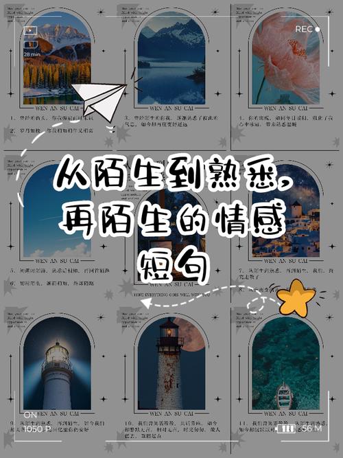 梦见很久不见的陌生人对我有好感，这是否预示着什么好事即将发生？