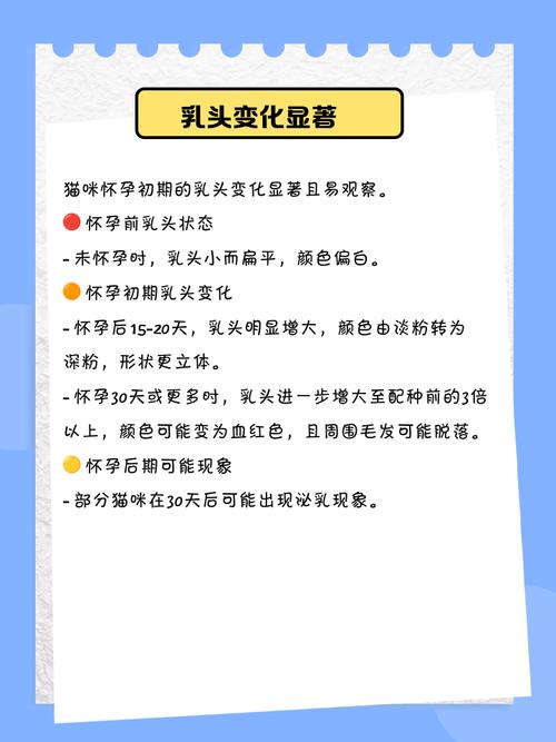 孕妇梦见小白猫会生男孩还是女孩？这是预示着生男生女吗？