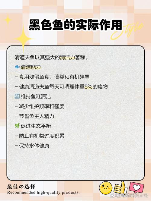 为什么家里不适合养黑鱼呢？