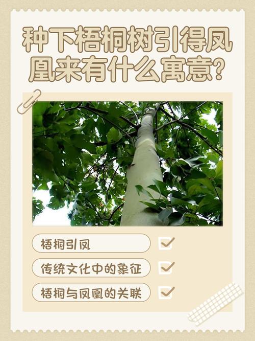 梦见种树预示着什么吉凶？