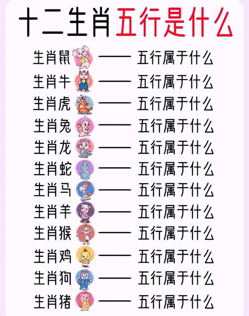 2019年出生的人属什么生肖，对应的五行是什么？