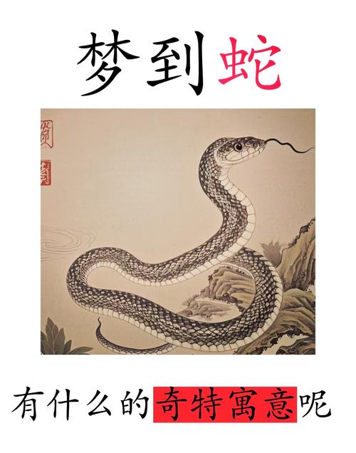 梦见山洞里有蛇，洞里有蛇预示着什么吉凶？
