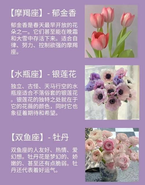 哪些星座的花是什么花？分别有什么寓意？