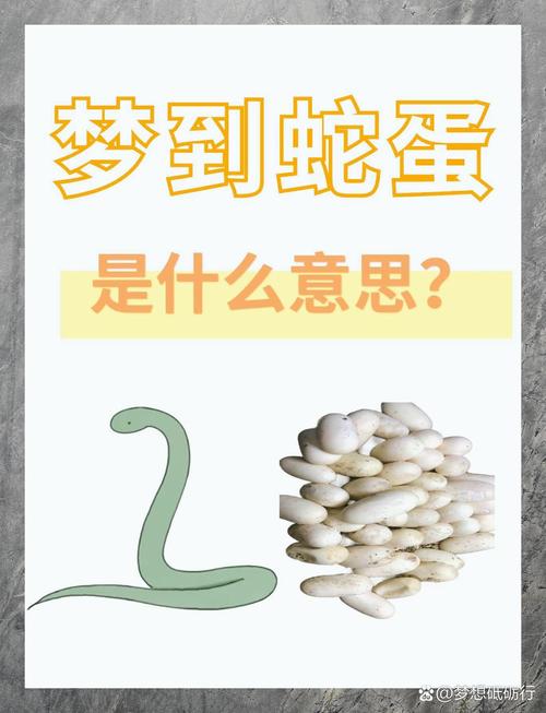 梦见大量蛇蛋究竟预示着什么吉凶？