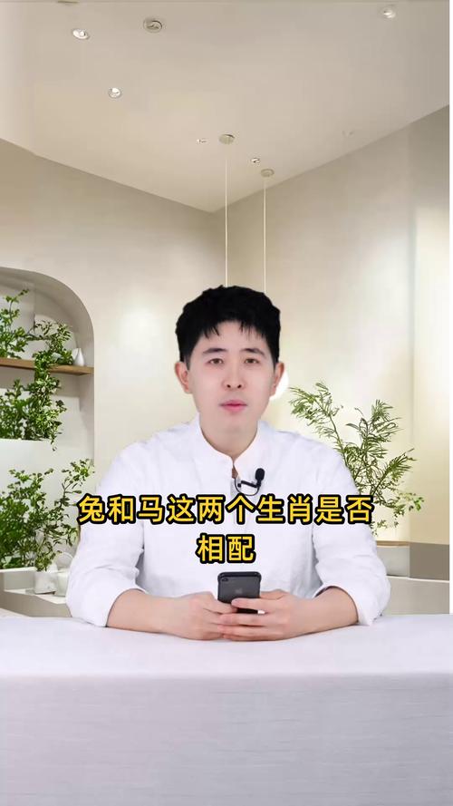 属马和属兔的婚姻关系如何，他们的性格和命运会有哪些特别的契合与挑战？
