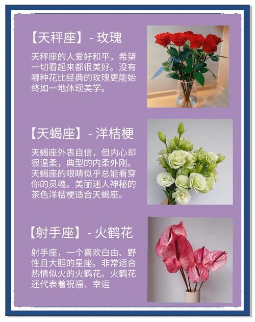 十二星座的专属幸运花分别是什么？