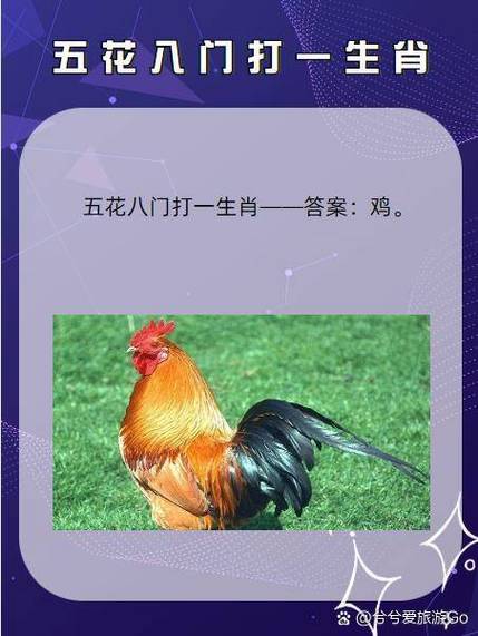 梦见别人牵鸡是什么预兆？这代表着什么含义？