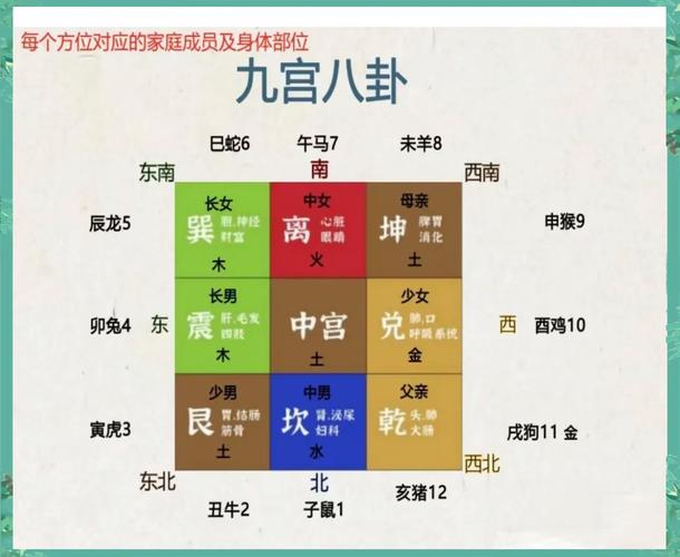 如何通过风水布局提升家庭子嗣运势的方法有哪些？