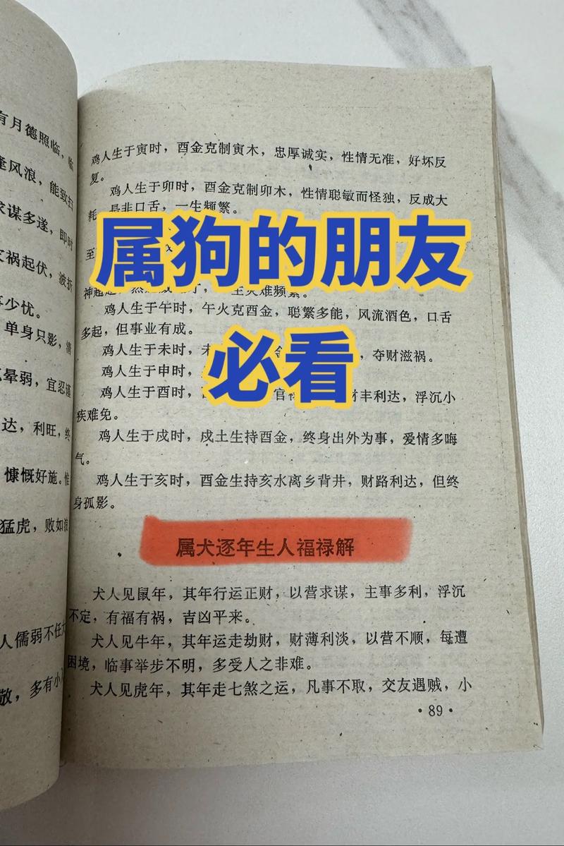 属狗本命年如何化解胆小怕事的问题？