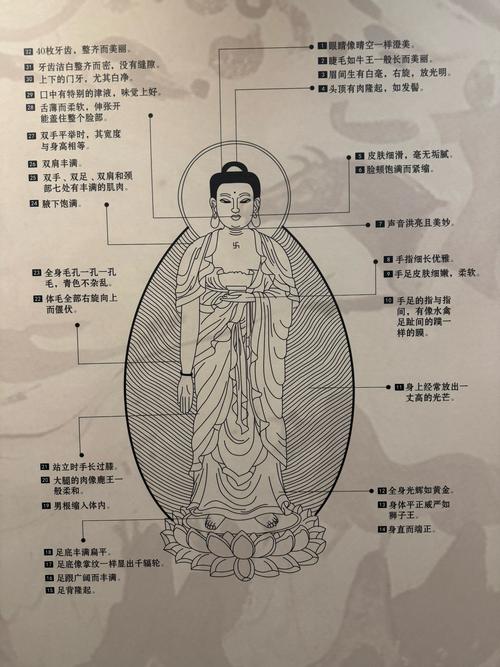 如来佛祖与凡夫相比，有哪些独特的体貌特征？