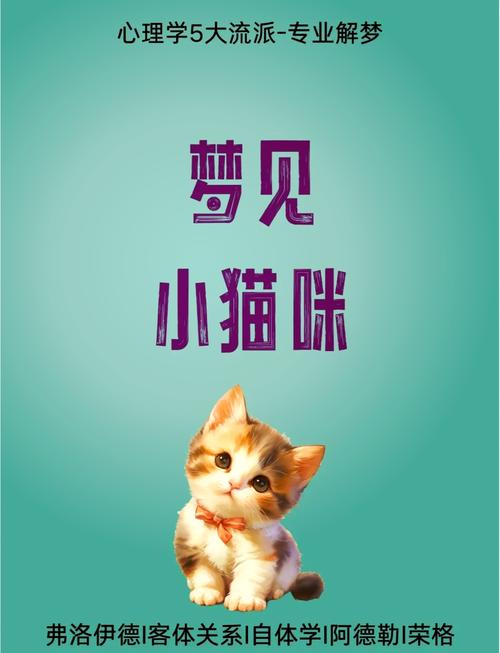 女人梦见捉猫或捡到猫，预示着什么吉凶？