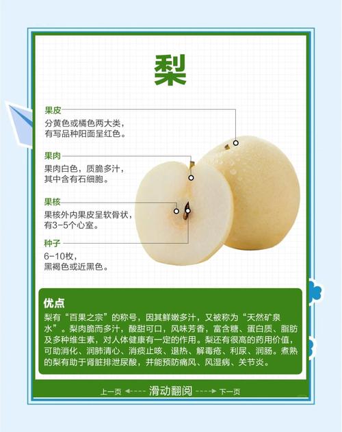 梨的分离寓意是否意味着它有特殊的美好象征含义？