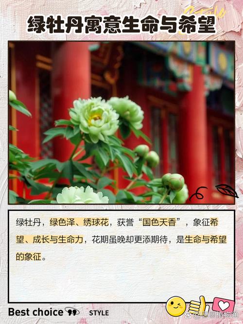 梦见绿色花朵有什么特殊含义或象征？