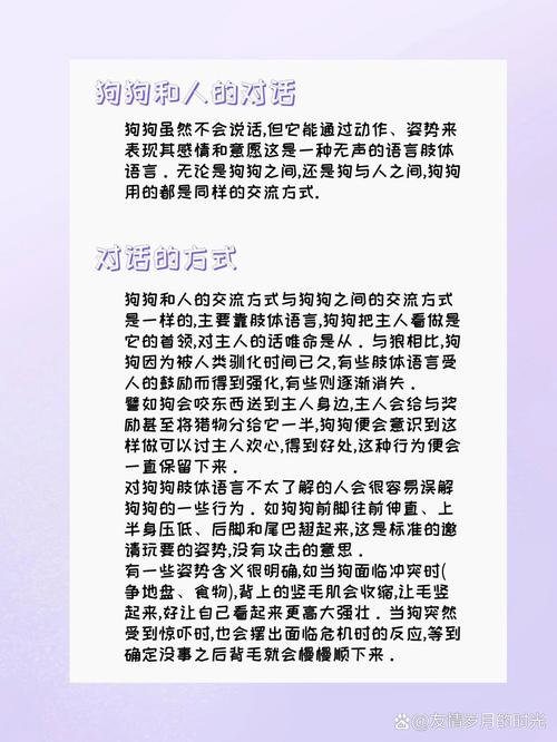 如何有效与属狗男性进行沟通和谈判？