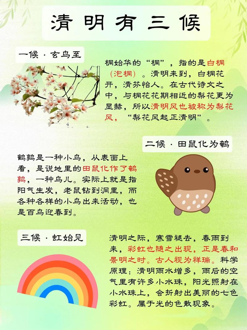 清明节出生的孩子命运如何，有哪些特殊影响？