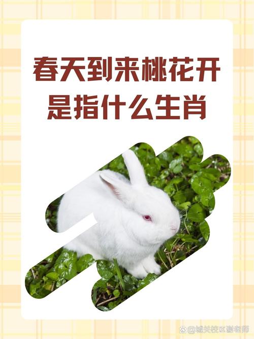 人面桃花朵朵开对应的生肖是哪个？还有哪些生肖与桃花朵朵开有关？