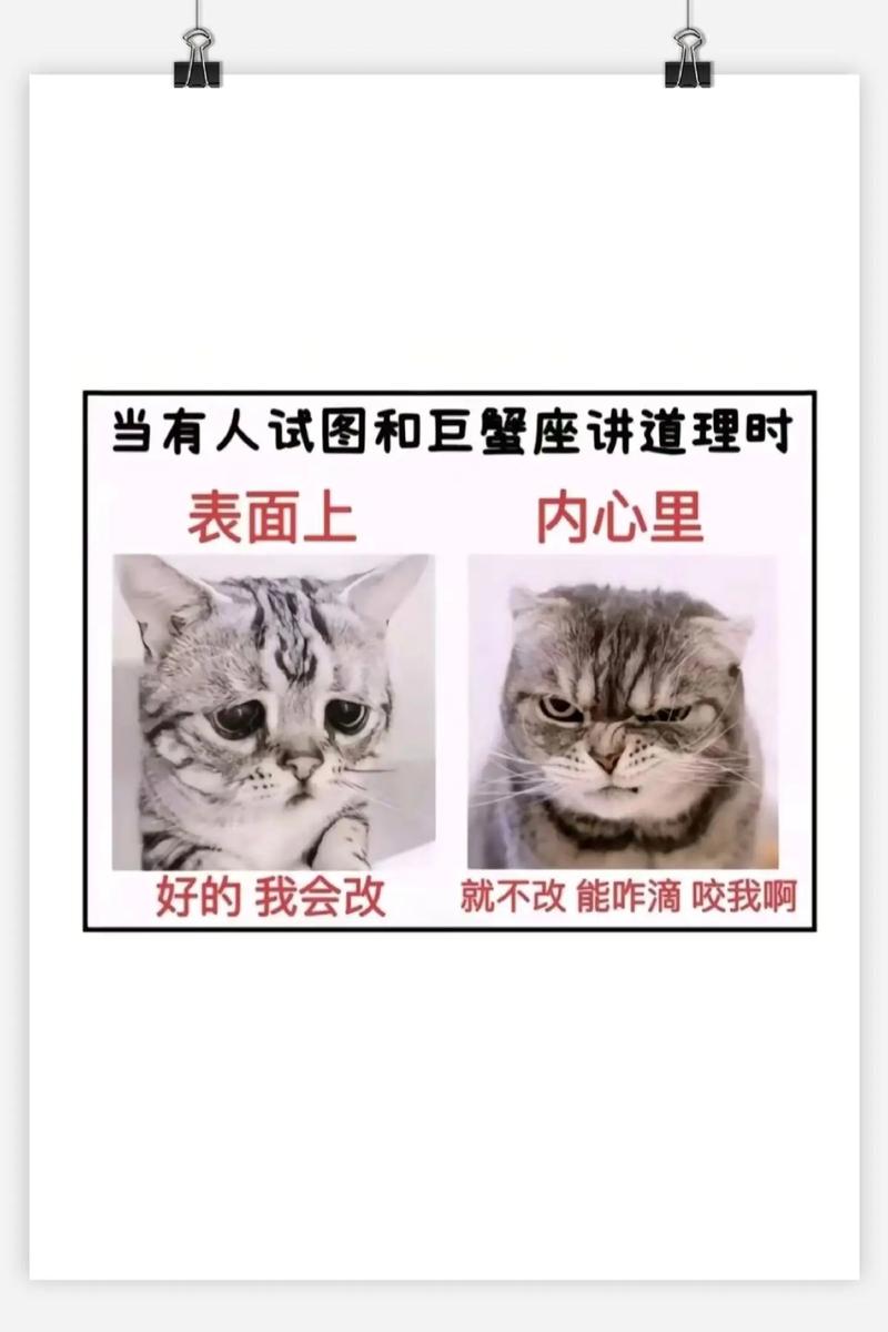 巨蟹座男人的底线是什么有哪些行为会触及他的底线？