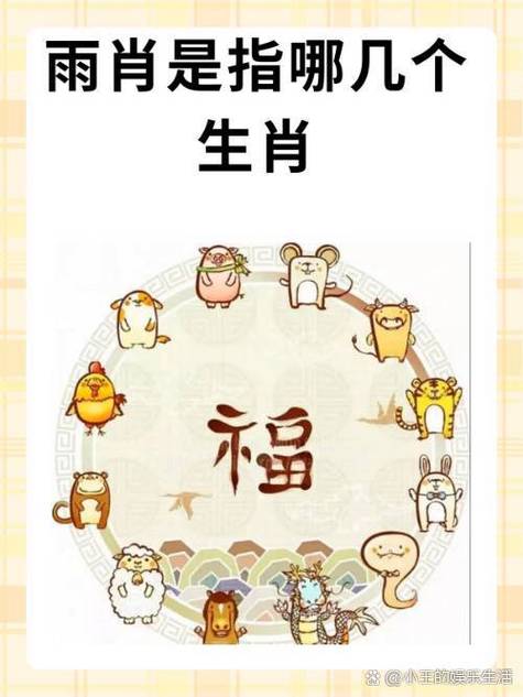 雨肖究竟对应哪几个生肖？这个概念你能解释一下吗？