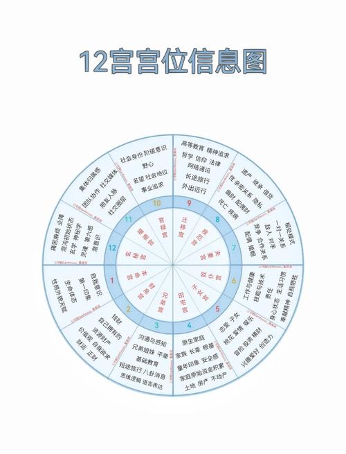 星盘命主星分别落在各个宫位，这是什么意思？