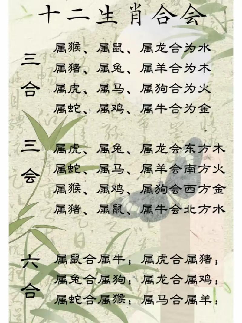 属蛇大宝和属鼠二宝的八字合不合，能否携手共度一生？