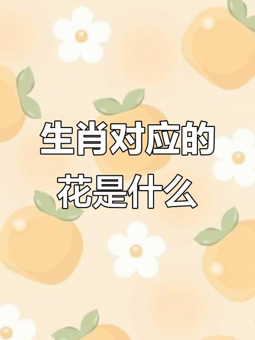 十二生肖中，哪一种生肖的玫瑰花代表它自己？
