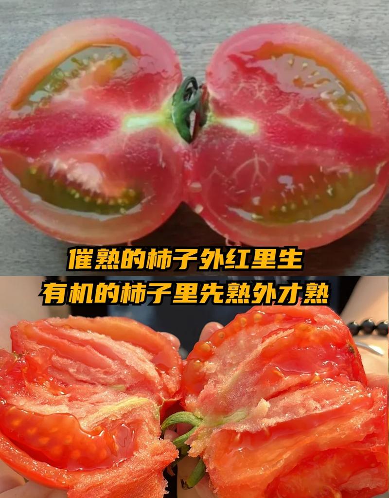 孕妇梦见彳艮多切好的西红柿预示着什么？