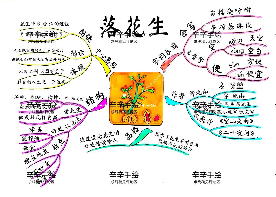 落花生的性格特点在阅读训练中是如何描述的？