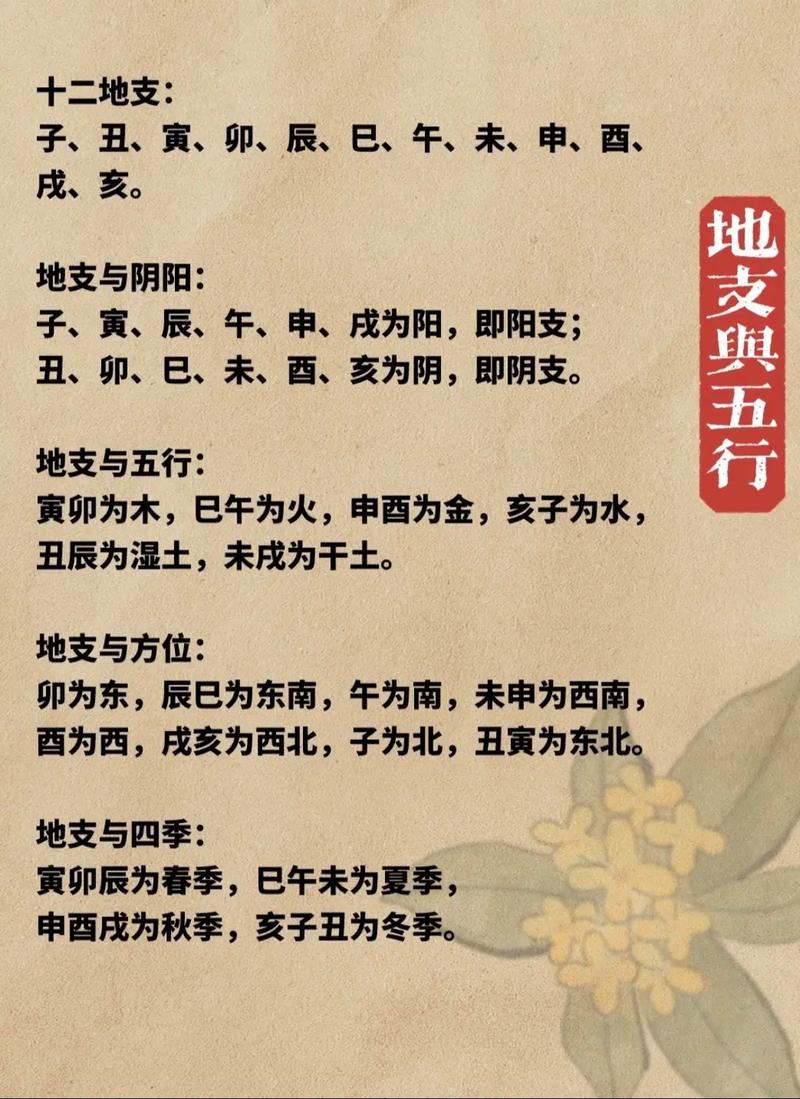 十二地支分别对应哪些五行和方位？