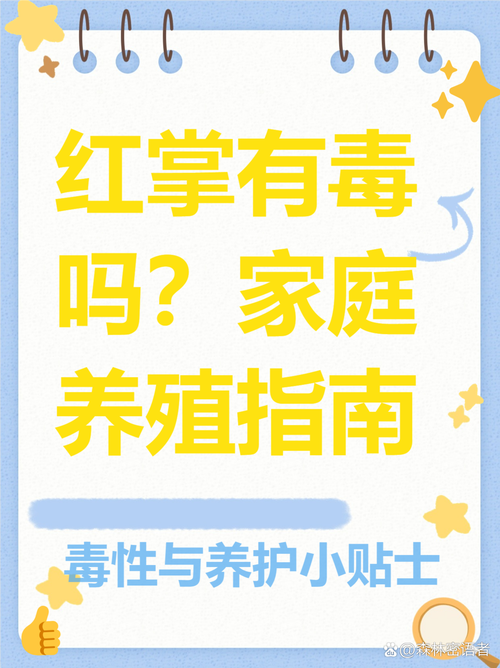 为什么千万不能在家里养红掌？它的存在有什么危害？
