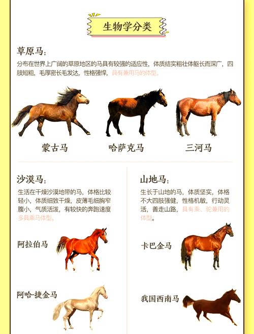 女生属马性格特点是什么这样的性格适合养宠物吗？