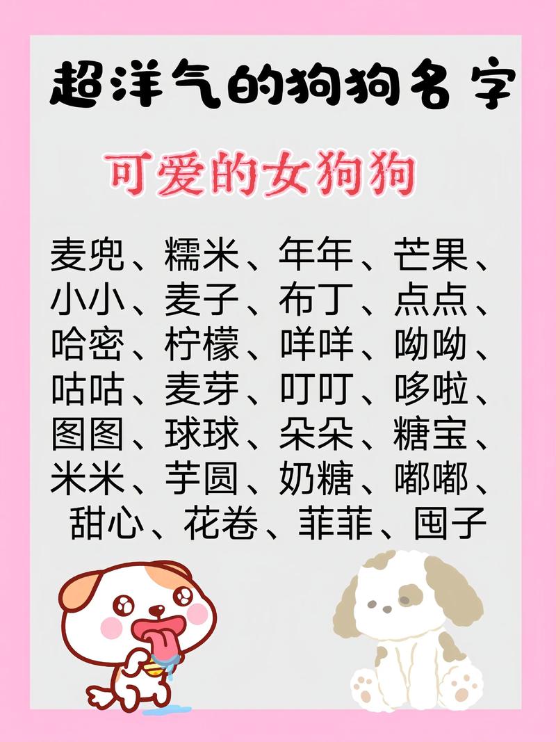 有没有什么属狗狗的小孩名字大全，给属狗的宝宝起名字的建议？