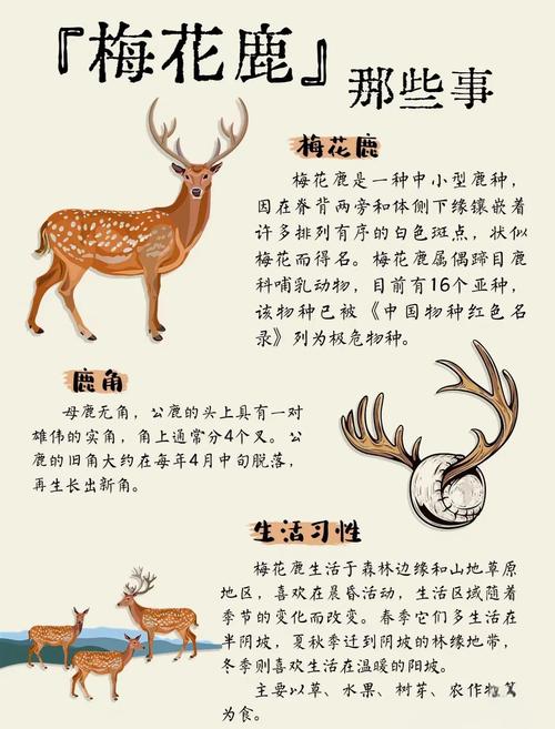 梦见别人杀害麋鹿究竟是什么预兆，预示着什么不祥之事或即将发生的变化呢？