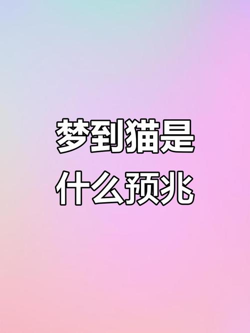 梦见被猫紧追不舍究竟预示着什么含义？