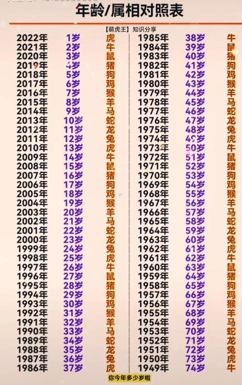 1996年究竟属于哪个生肖年份？