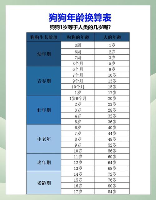 属狗的人2023年出生，那今年他们多少岁了？