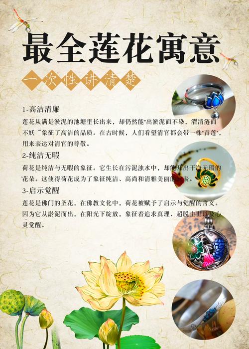 荷花寓意和风水禁忌有哪些，荷花在风水中的作用和需要注意的禁忌是什么？