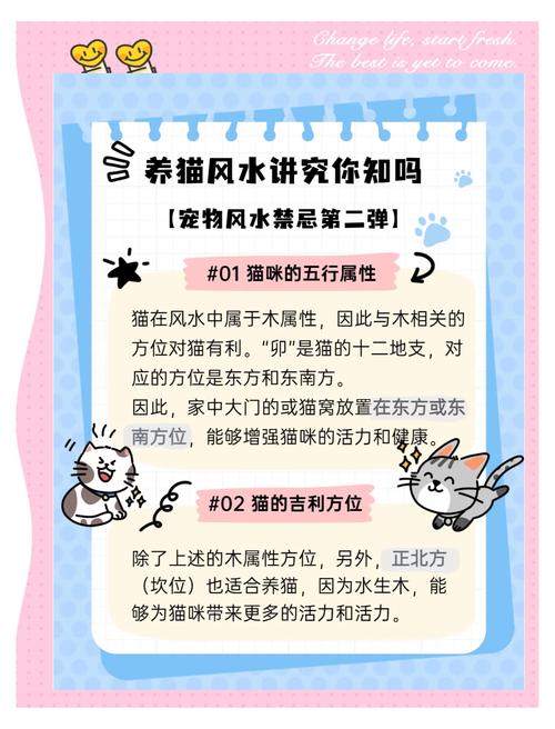 养三只猫对家财运风水有正面影响吗？