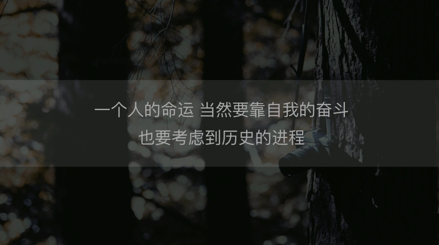 一个人的命运，是自我奋斗与历史进程共同塑造的吗？