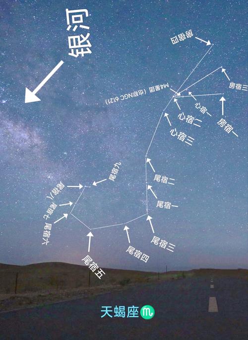 本周太阳进入天蝎座，我们应该Zuo好哪些准备以应对本周的星象变化？