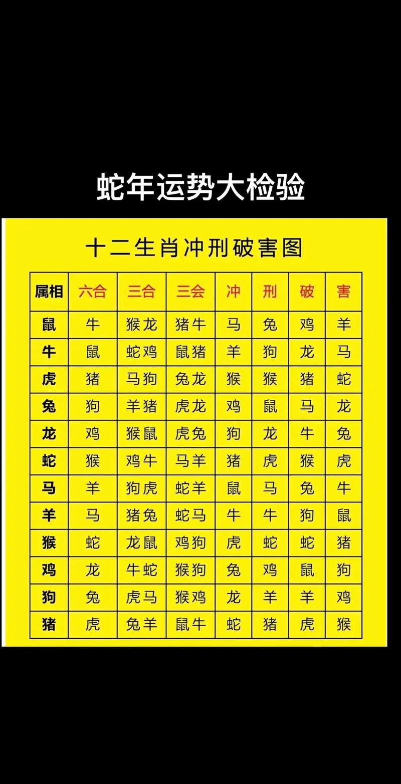 四十九期开奖的生肖是什么？它代表了哪个生肖？