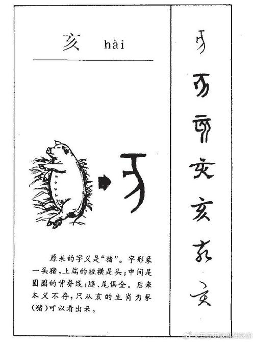 亥字在名字里的含义究竟是什么？它蕴含着怎样的美好寓意？