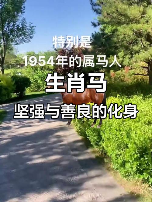 1954年出生的人属马，那么他们的性格和命运特点有哪些呢？